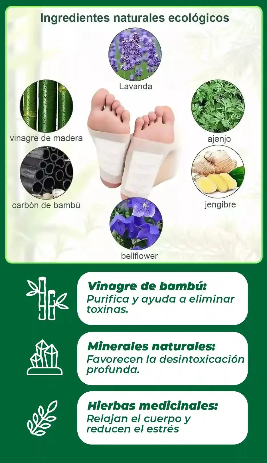 PARCHES DE PIES DESINTOXICANTES [PV1-META-CENTRALMARKETPLUS]